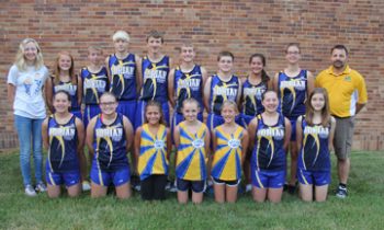 Dragon Runners Drive with Desire