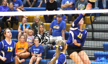 Dragons Swept by Patriots