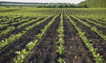 Local Groups Demonstrate Commitment to Ag Producers with Conference