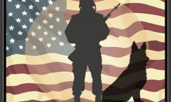 2nd Annual Dawg Days Summit July 8th