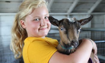 Three ‘Kids’ and their owners-Where are they today?