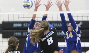 Wildcats take down Dragons