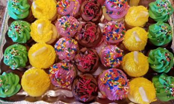 Stuffed and Fluffed . . . .