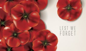 May 25 honor our Veterans with a red poppy