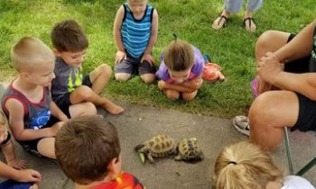 “Kids are important” in Zoo Man’s Wacky World