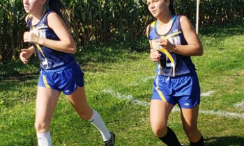 Dragons perform well at Paul Metcalf Invitational