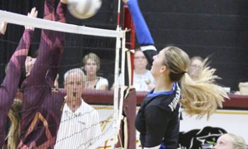 Panther volleyball season begins