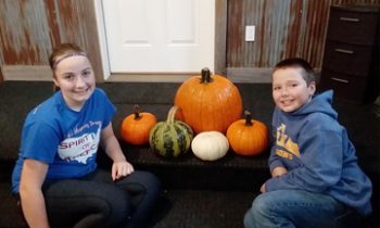 From the pumpkin patch