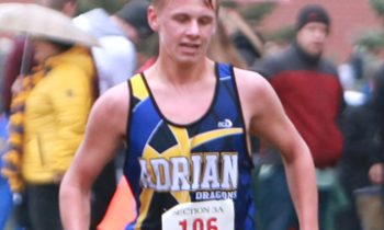 Dragons complete season at Section Meet