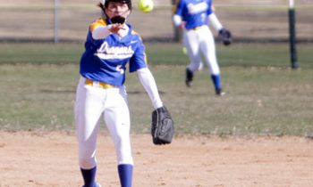 Adrian Area Softball falls to MCC