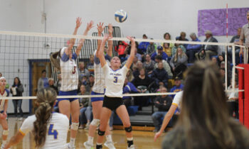 Lady Dragons move on in Section play